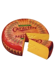 LEERDAMMER CARACTERE